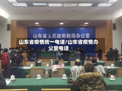 山东省疫情统一电话/山东省疫情办公室电话-第2张图片