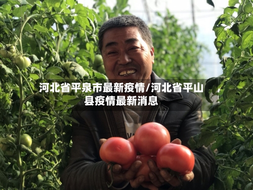 河北省平泉市最新疫情/河北省平山县疫情最新消息-第2张图片