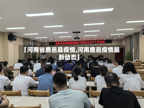 【河南省鹿邑县疫情,河南鹿邑疫情最新动态】-第2张图片