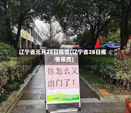 辽宁省元月28日疫情(辽宁省28日疫情报告)-第3张图片