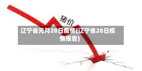 辽宁省元月28日疫情(辽宁省28日疫情报告)-第2张图片