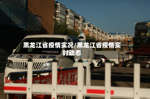 黑龙江省疫情实况/黑龙江省疫情实时动态-第2张图片