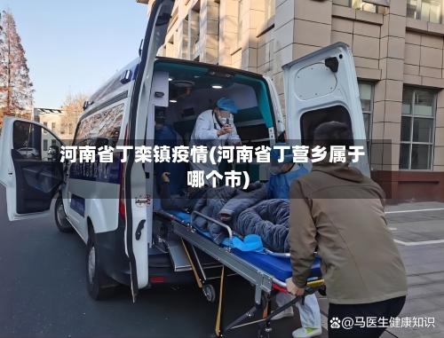 河南省丁栾镇疫情(河南省丁营乡属于哪个市)-第2张图片