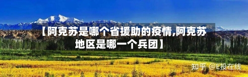 【阿克苏是哪个省援助的疫情,阿克苏地区是哪一个兵团】-第3张图片