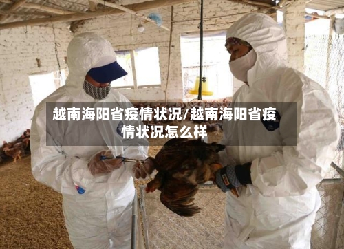 越南海阳省疫情状况/越南海阳省疫情状况怎么样-第1张图片