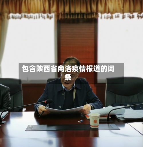 包含陕西省商洛疫情报道的词条-第2张图片