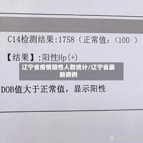 辽宁省疫情阳性人数统计/辽宁省最新病例-第1张图片