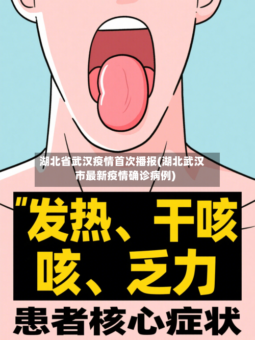 湖北省武汉疫情首次播报(湖北武汉市最新疫情确诊病例)-第2张图片