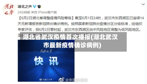 湖北省武汉疫情首次播报(湖北武汉市最新疫情确诊病例)-第1张图片