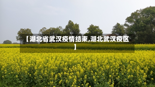 【湖北省武汉疫情结束,湖北武汉疫区】-第2张图片