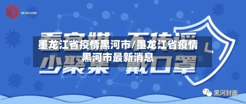 墨龙江省疫情黑河市/墨龙江省疫情黑河市最新消息-第2张图片