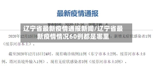 辽宁省最新疫情通报新闻/辽宁省最新疫情情况60例都是哪里-第2张图片