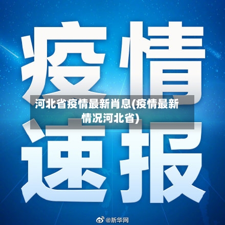 河北省疫情最新肖息(疫情最新情况河北省)-第2张图片