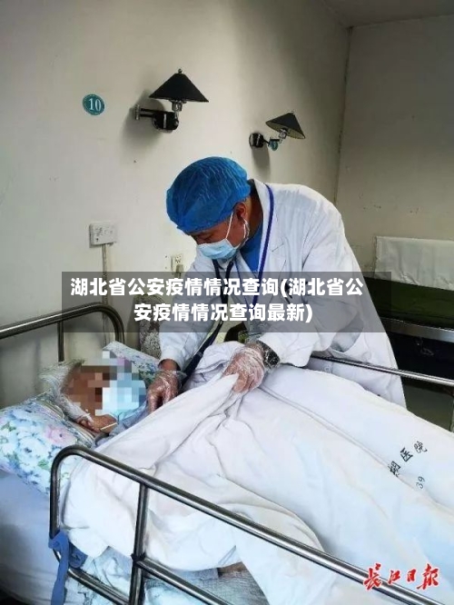 湖北省公安疫情情况查询(湖北省公安疫情情况查询最新)-第2张图片