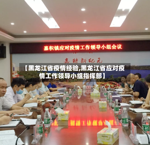 【黑龙江省疫情经验,黑龙江省应对疫情工作领导小组指挥部】-第1张图片