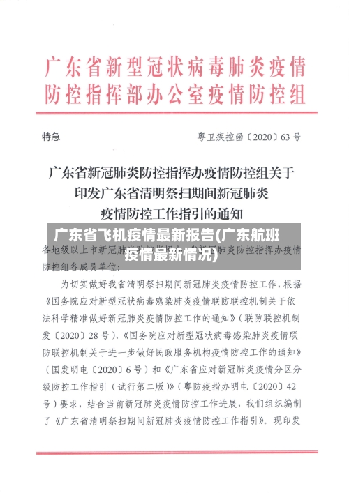 广东省飞机疫情最新报告(广东航班疫情最新情况)-第3张图片