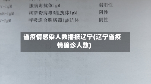 省疫情感染人数播报辽宁(辽宁省疫情确诊人数)-第1张图片