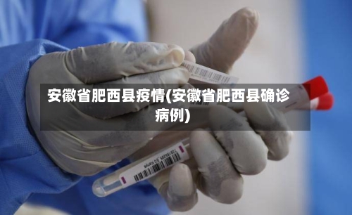 安徽省肥西县疫情(安徽省肥西县确诊病例)-第3张图片