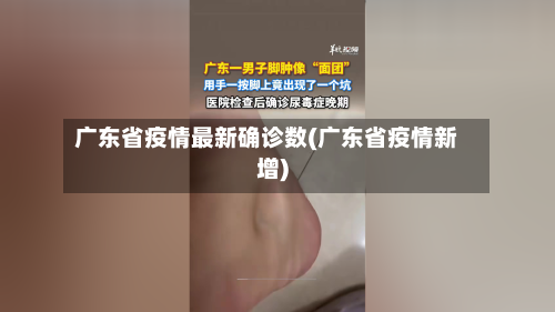 广东省疫情最新确诊数(广东省疫情新增)-第2张图片