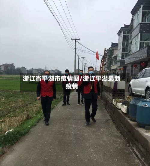 浙江省平湖市疫情图/浙江平湖最新疫情-第2张图片