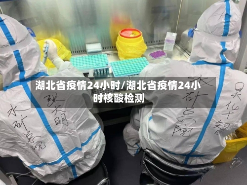 湖北省疫情24小时/湖北省疫情24小时核酸检测-第2张图片