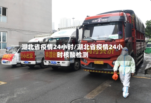 湖北省疫情24小时/湖北省疫情24小时核酸检测-第1张图片
