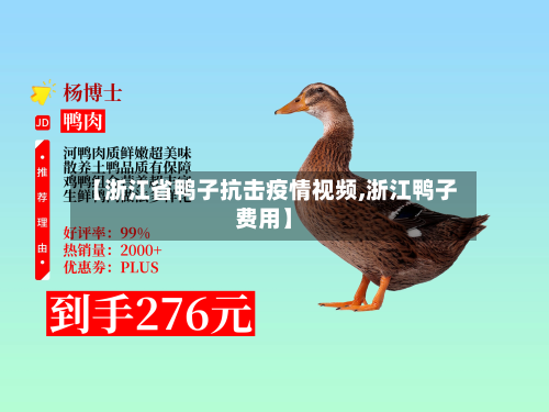 【浙江省鸭子抗击疫情视频,浙江鸭子费用】-第1张图片