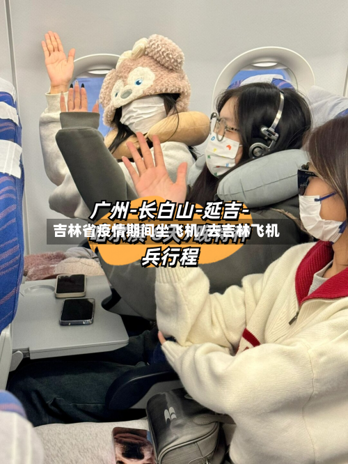 吉林省疫情期间坐飞机/去吉林飞机-第2张图片