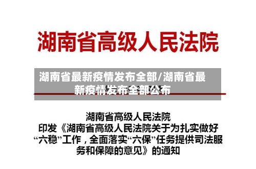 湖南省最新疫情发布全部/湖南省最新疫情发布全部公布-第2张图片