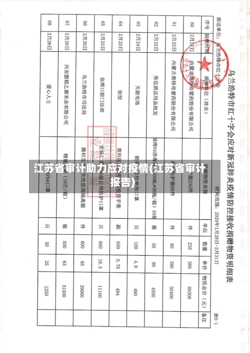 江苏省审计助力应对疫情(江苏省审计报告)-第1张图片