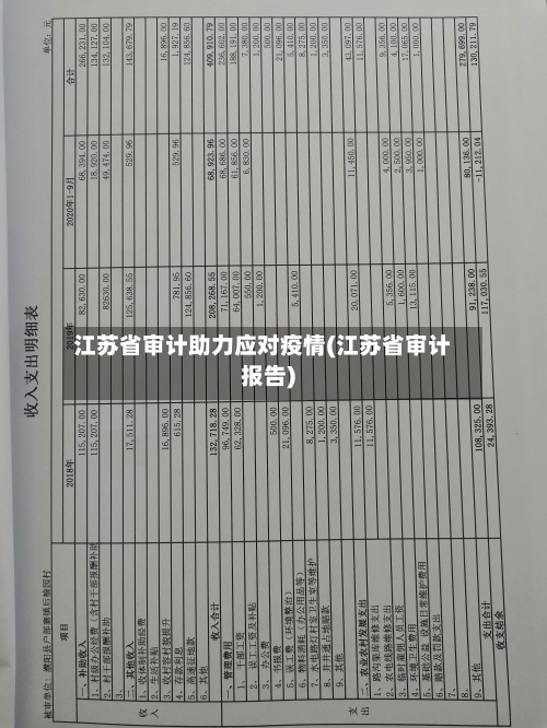 江苏省审计助力应对疫情(江苏省审计报告)-第3张图片