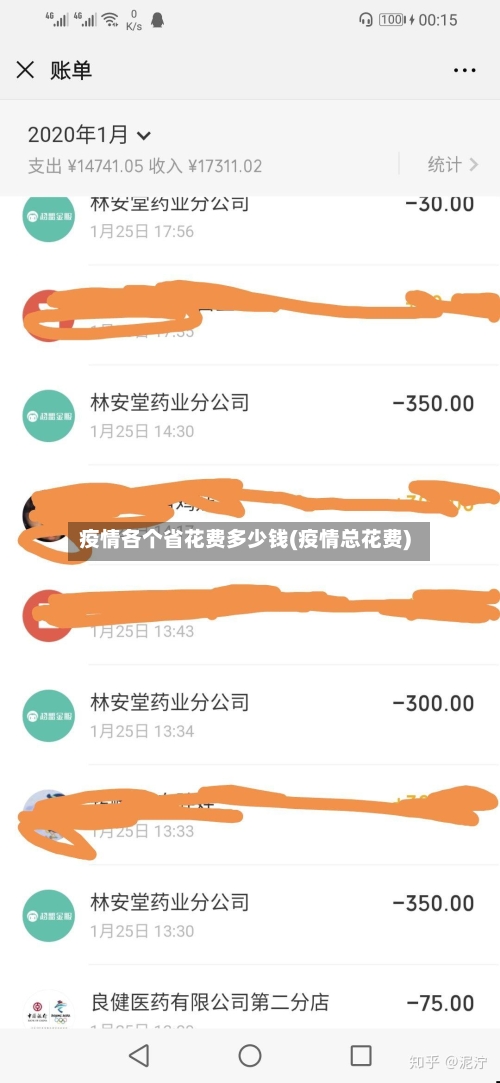 疫情各个省花费多少钱(疫情总花费)-第1张图片