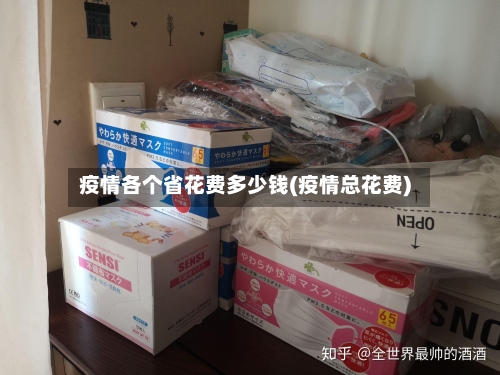 疫情各个省花费多少钱(疫情总花费)-第2张图片