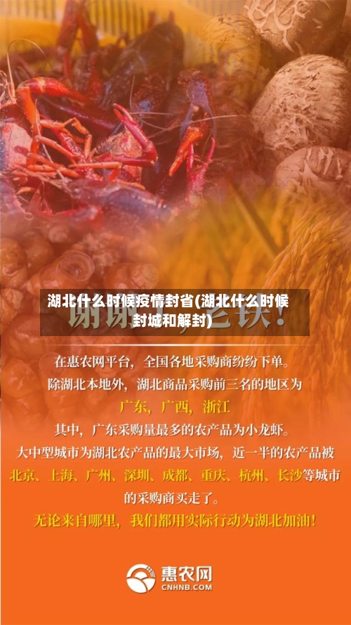 湖北什么时候疫情封省(湖北什么时候封城和解封)-第1张图片