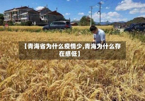 【青海省为什么疫情少,青海为什么存在感低】-第2张图片