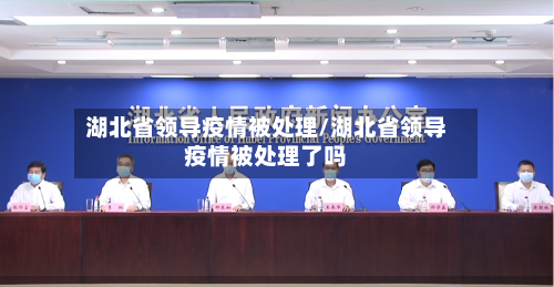 湖北省领导疫情被处理/湖北省领导疫情被处理了吗-第1张图片