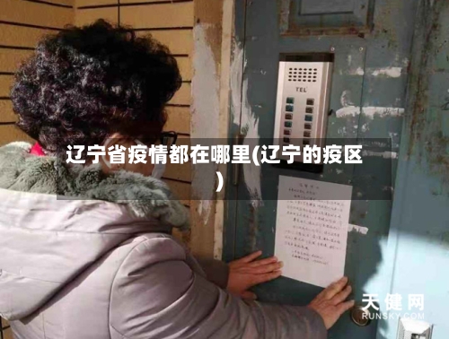 辽宁省疫情都在哪里(辽宁的疫区)-第2张图片