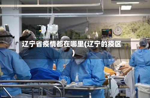 辽宁省疫情都在哪里(辽宁的疫区)-第1张图片