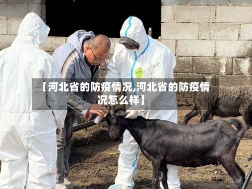 【河北省的防疫情况,河北省的防疫情况怎么样】-第3张图片