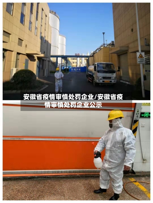 安徽省疫情审慎处罚企业/安徽省疫情审慎处罚企业公示-第1张图片