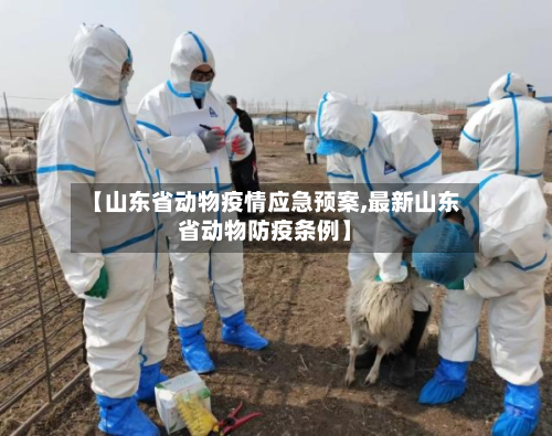 【山东省动物疫情应急预案,最新山东省动物防疫条例】-第1张图片