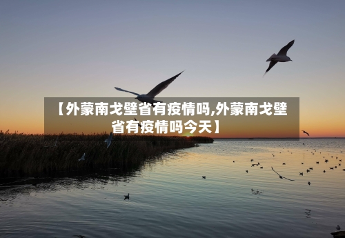 【外蒙南戈壁省有疫情吗,外蒙南戈壁省有疫情吗今天】-第3张图片