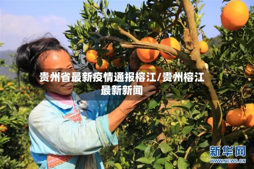 贵州省最新疫情通报榕江/贵州榕江最新新闻-第1张图片