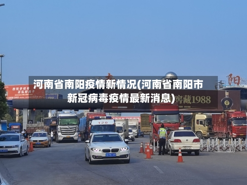 河南省南阳疫情新情况(河南省南阳市新冠病毒疫情最新消息)-第2张图片