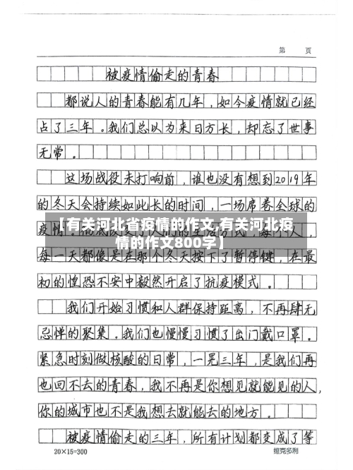 【有关河北省疫情的作文,有关河北疫情的作文800字】-第2张图片