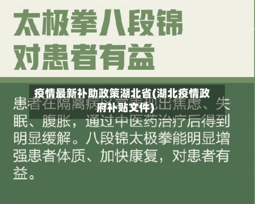 疫情最新补助政策湖北省(湖北疫情政府补贴文件)-第3张图片