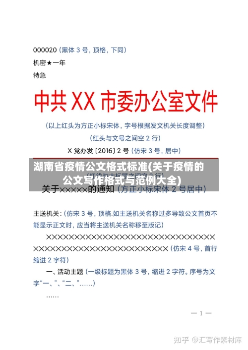 湖南省疫情公文格式标准(关于疫情的公文写作格式与范例大全)-第2张图片