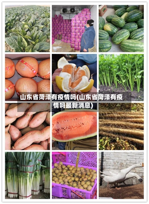 山东省菏泽有疫情吗(山东省菏泽有疫情吗最新消息)-第1张图片