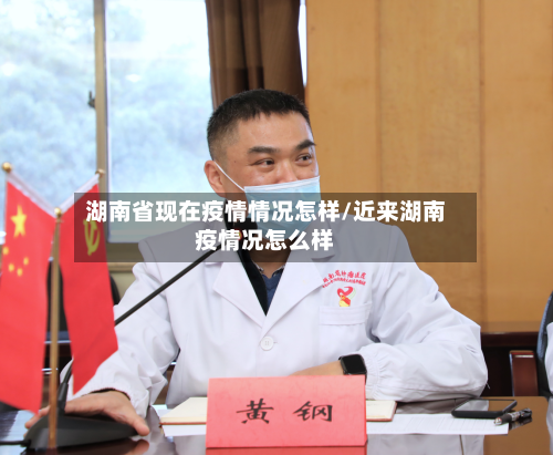 湖南省现在疫情情况怎样/近来湖南疫情况怎么样-第3张图片