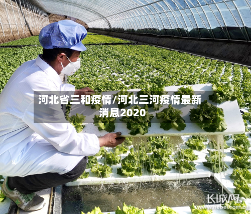 河北省三和疫情/河北三河疫情最新消息2020-第1张图片